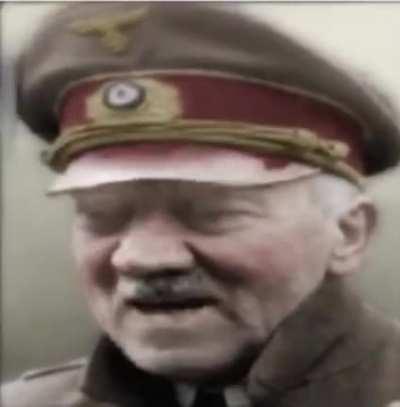 Hitler is a Redditor