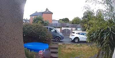 Massive freakout triggered by a tiny dog.