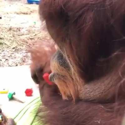 Why use your hands when your mouth will do?