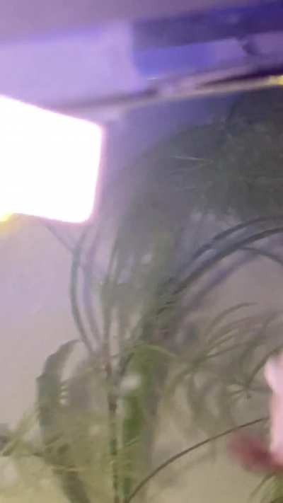 guys is this normal 😭🙏