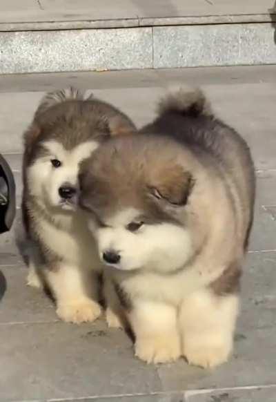 You mean there all like that?