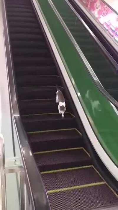 to go to another floor