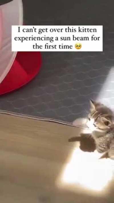 The way heâs trying to touch it