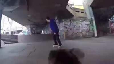 Expert cameraman 🐕