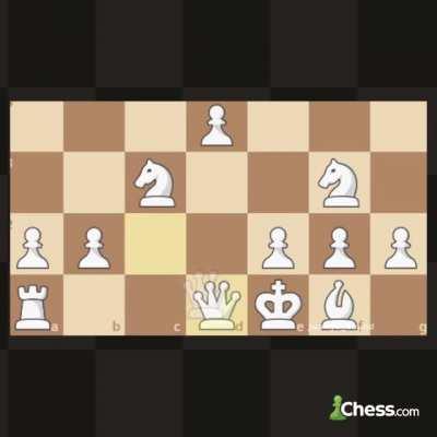 Levy Rozman - Magnus