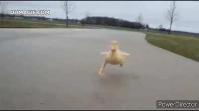 A bunch of random characters running set to I Ran