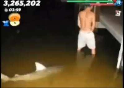 Piss shark Piss shark
