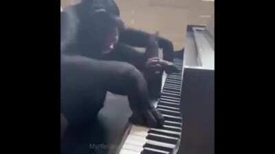 This hollow was once a great musician, but he lost his soul searching for The Elden Ring, now he only plin-plin-plons