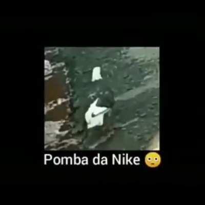 caraio pomba nike 🐦