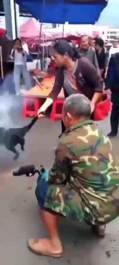 How Chinese people kill a dog
