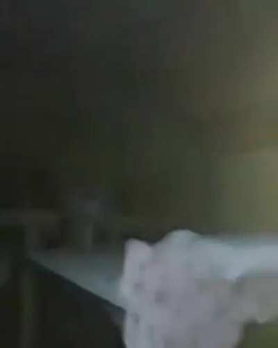 Acorda porra 😡😡🤬