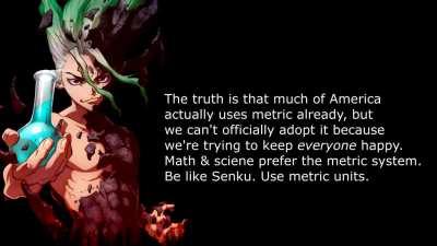 Yor Mama's Body Measurements