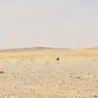 This is how hot it is in Saudi Arabia