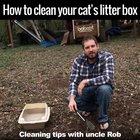 How to clean your cat's litter box