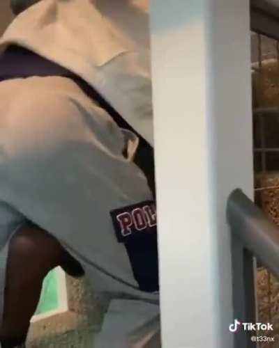 Bruce better stop playing wit Uzi🤣🤣