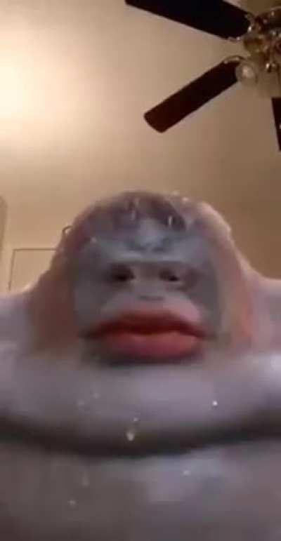 POV: you referred to the poop god as 