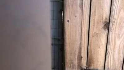 Bad Horror Movie Trailer #1