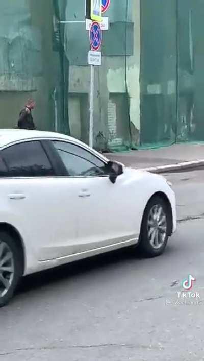 A cat, a crow and a man having a walk