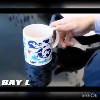 TurkeyJerky - Video #6338