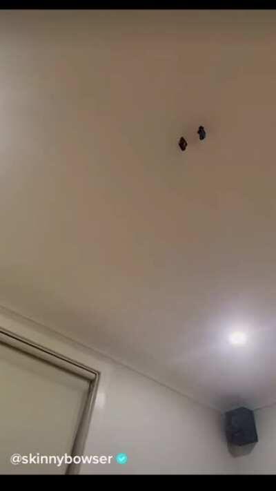 Man fully sends his Hotwheels cars