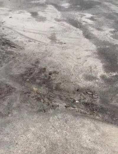 Run free little man!