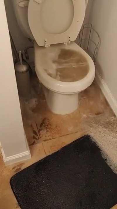 I see your leaky sink and raise you a basement sewage backup at 8am while trying to get my kids ready.