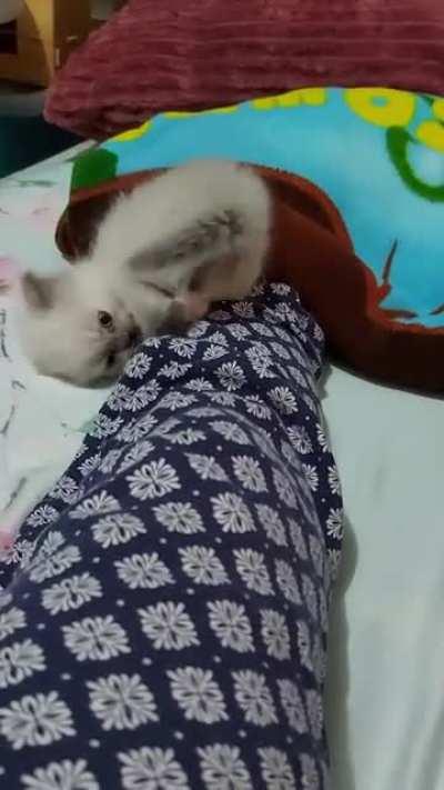 I had to hide my feet from this guilty criminal!