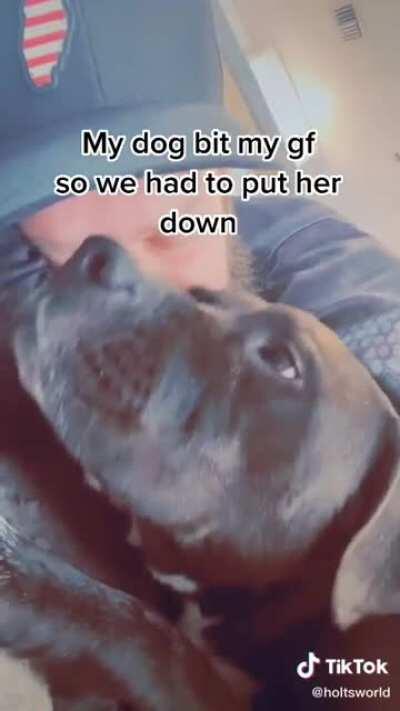 Oh no that’s so sad...wait