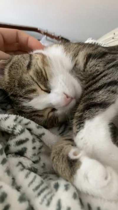 Volume ALL THE WAY UP for the s m a l l e s t squeaks ever recorded