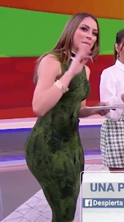 Carolina Rosario - Univision