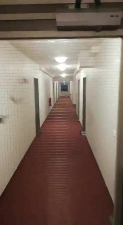 I came home and find these bats being lost in the stairwell.