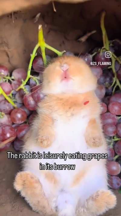 life ain't all sunshine and rainbows buddy boy