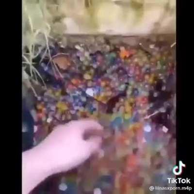 this goes from bad to worse real quick