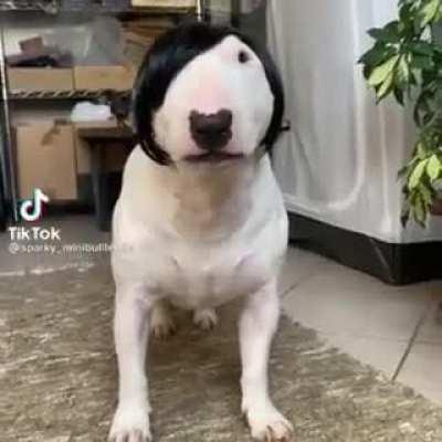 las nuves taparon el sol :´v