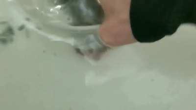 1 Kid 3 Hamsters [Part 2]