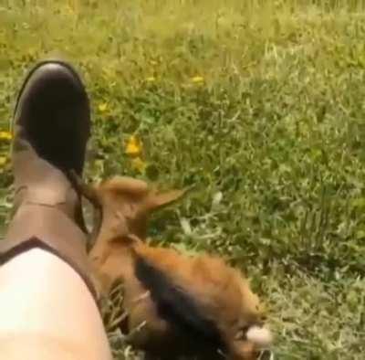 this is the life i deserve