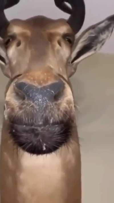 A metal object moving towards them at 50 mph