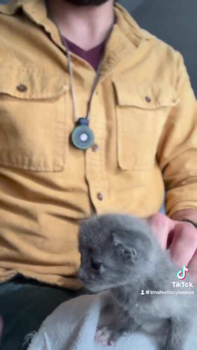 As requested, a better framed wiggly ear shot of Lucy. 