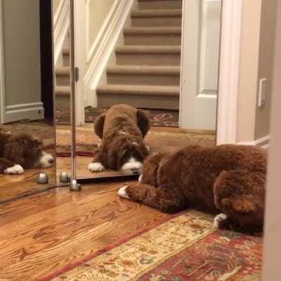 Do you see this shit?!