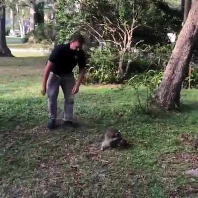 I believe this sport is called 'Racoonball'.