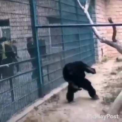 REVOLUTION STARTS NOW OOH OOH AH AH