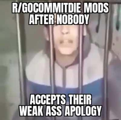 The rogue mods didn't even get a slap on the wrist, in sick of their shitty sub (reuploaded because spelling mistake)