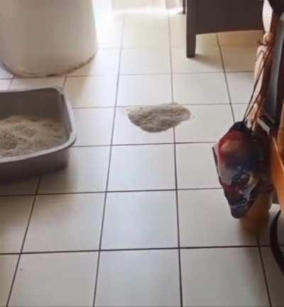 Just Gotta Grab The Dustpan