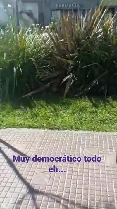 Munipas de San Fernando exigen a un local de Milei que quite los carteles