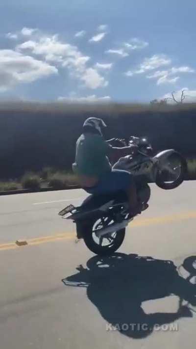 what a wheelie