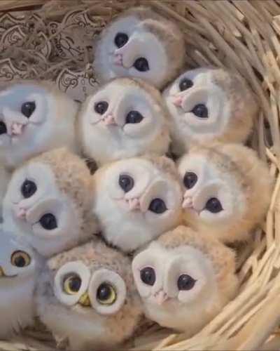 I was told this would be appreciated here