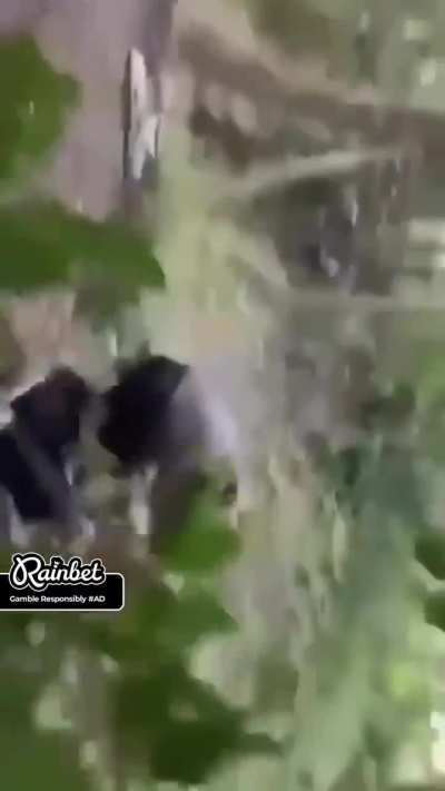 Ian Garry shows Caleb Plant and Ryan Garcia why mma ground and pound is superior to boxing😳😳