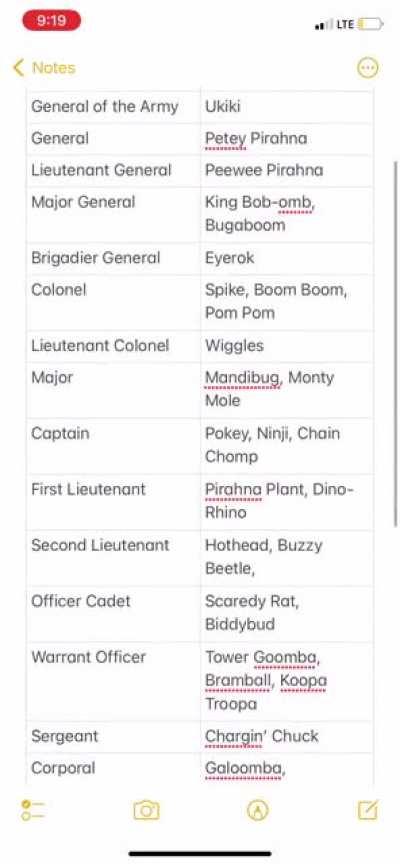 Bowser’s Military Hierarchy