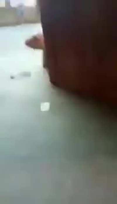 Well, someone got an eyeful...