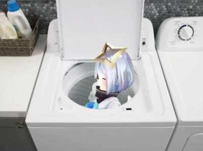 Washing machine agitators be like